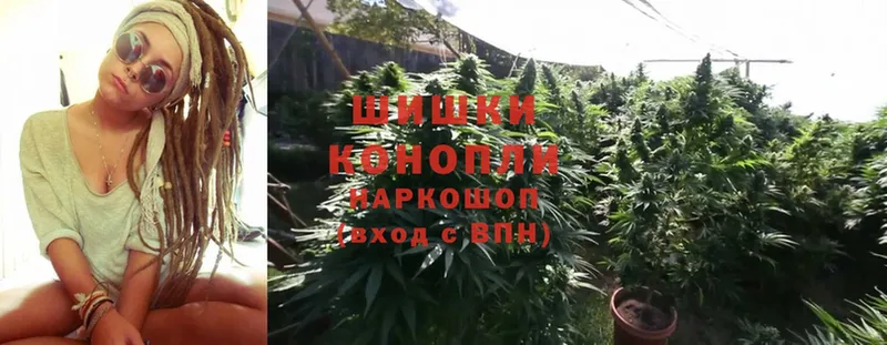 купить   Железногорск-Илимский  omg маркетплейс  Бошки Шишки OG Kush 